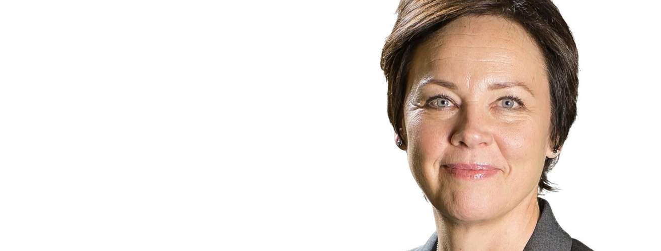 Konserndyret på Sørlandet