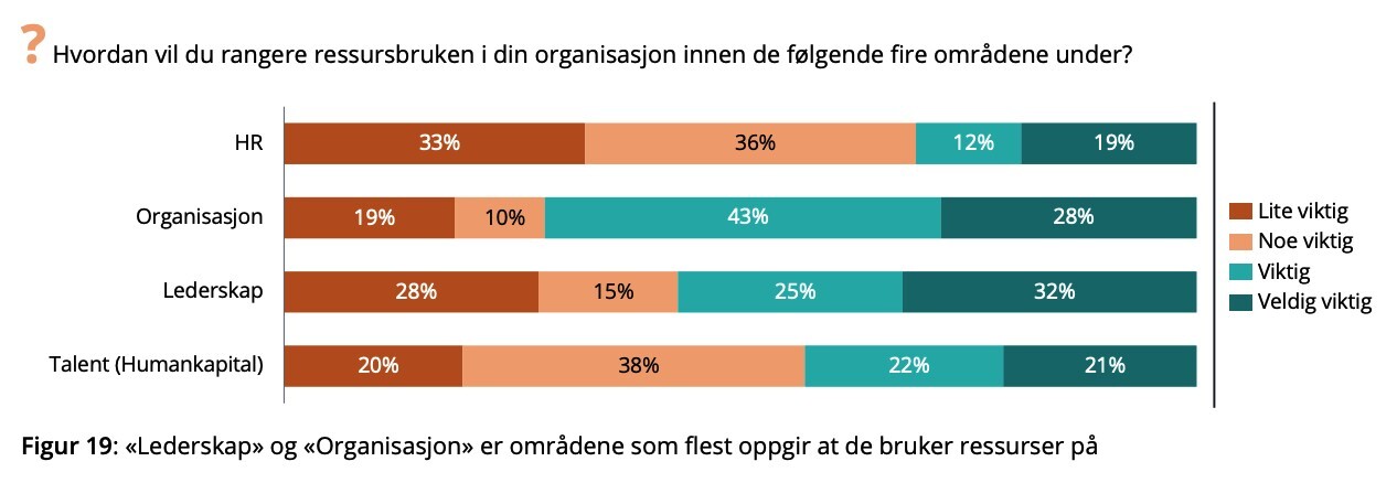 ressursbruken i organisasjonen