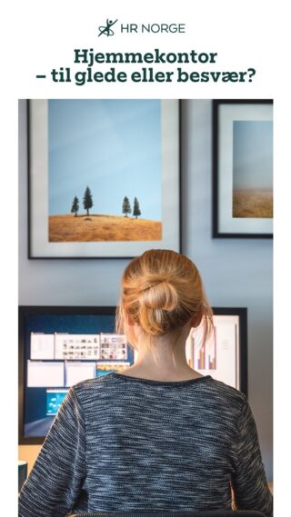 Hjemmekontor rapport 2024