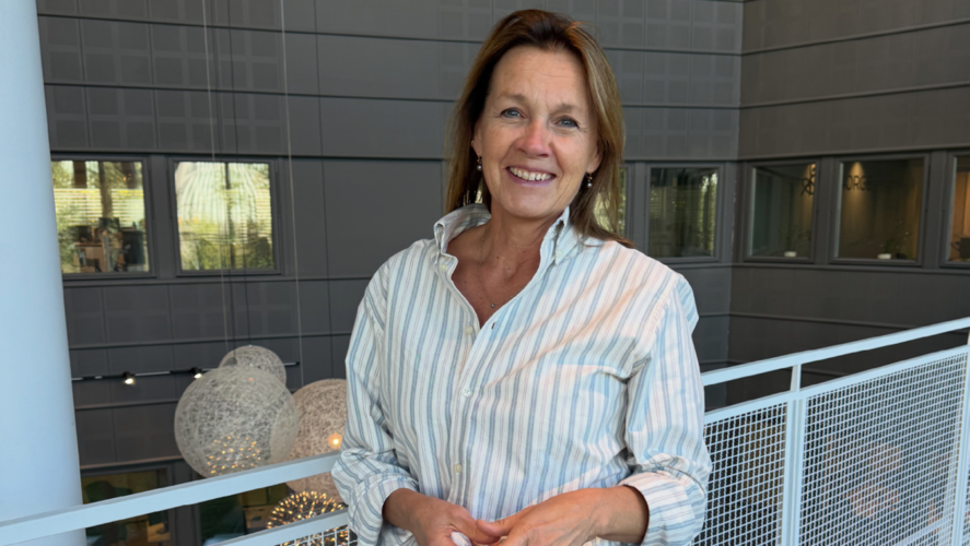 Hvordan sikre god match mellom arbeidsgiver og jobbsøker?