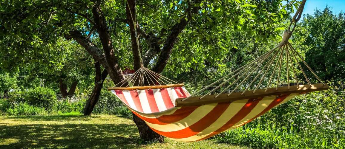 Lesestoff og litt faglig påfyll i sommer