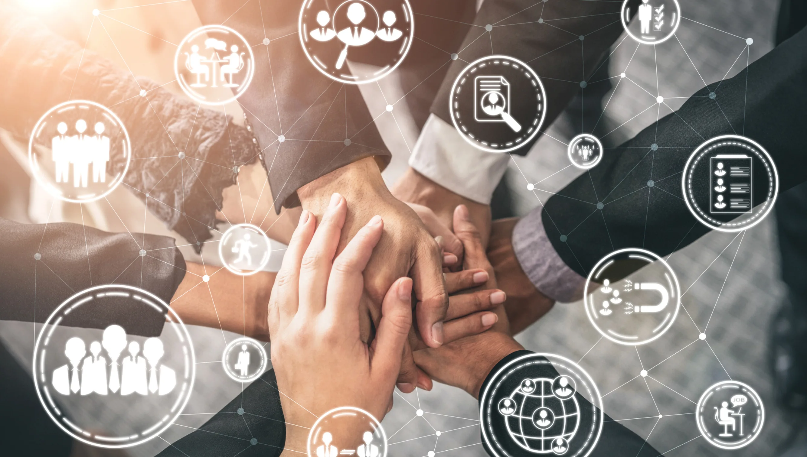 Organisasjon ledelse